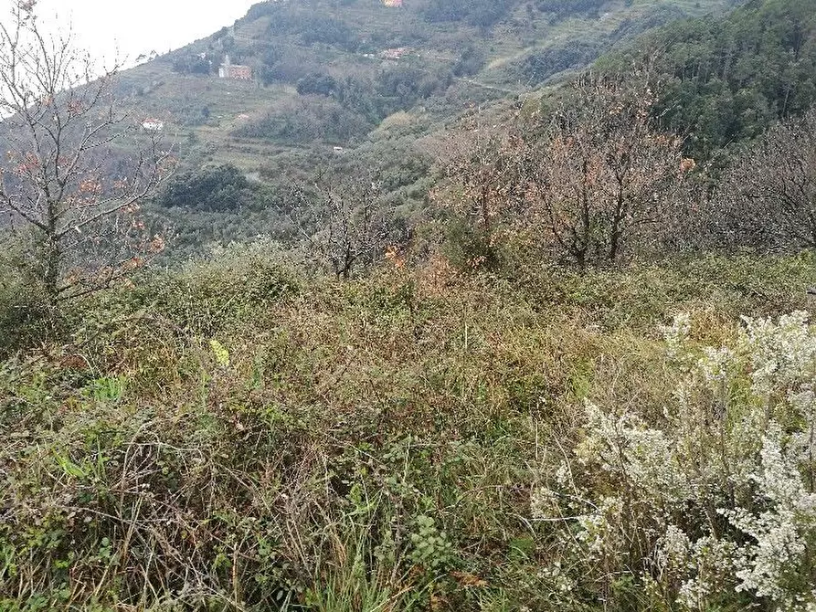Immagine 10 di Rustico / casale in vendita  a Vernazza