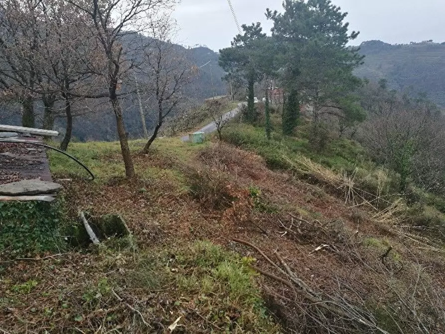 Immagine 7 di Rustico / casale in vendita  a Vernazza