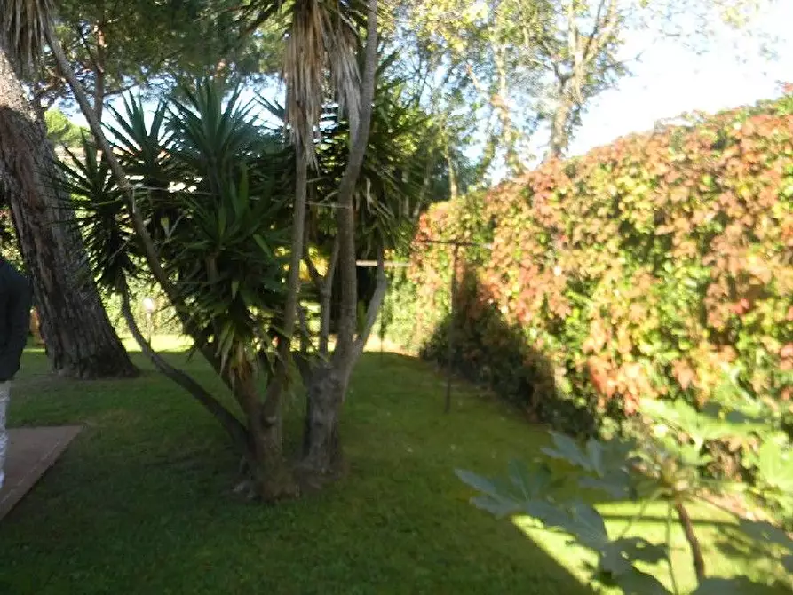 Immagine 12 di Villa in vendita  a Forte Dei Marmi