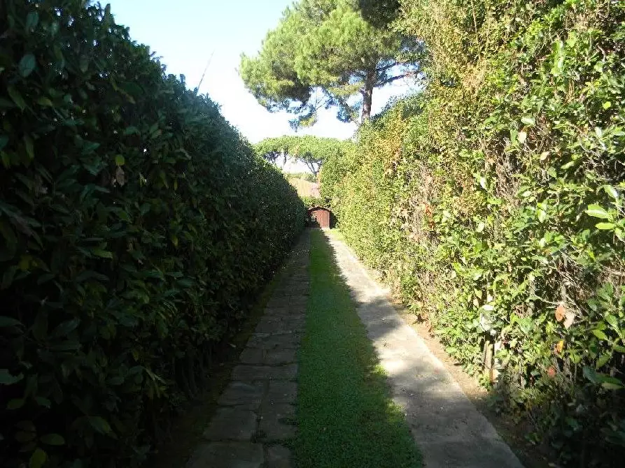 Immagine 25 di Villa in vendita  a Forte Dei Marmi