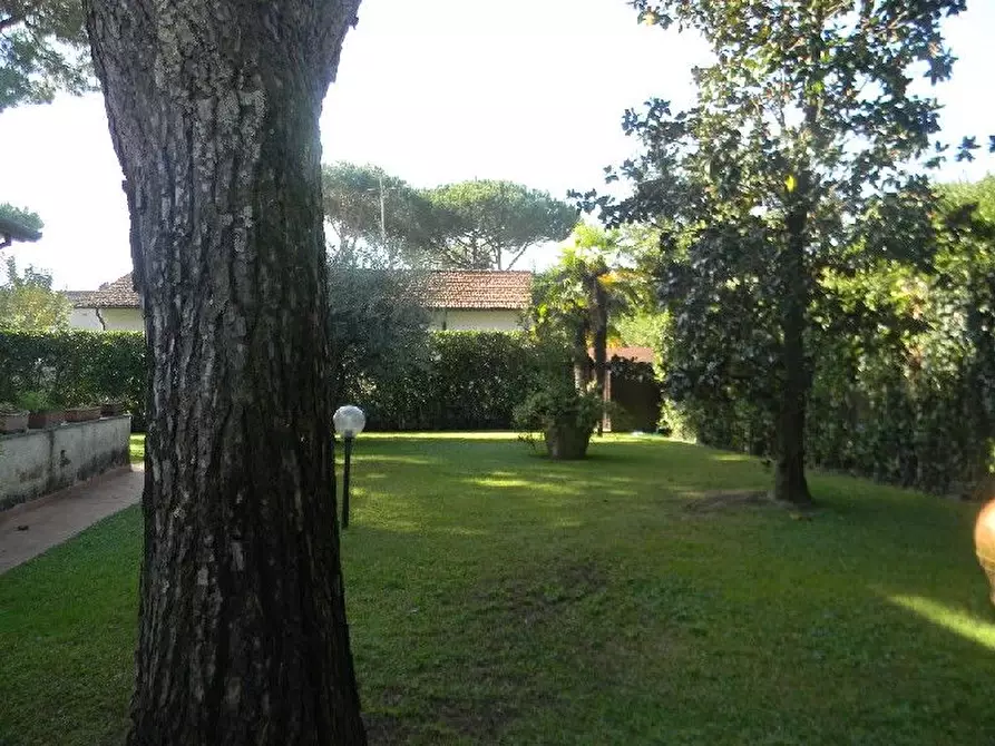 Immagine 29 di Villa in vendita  a Forte Dei Marmi