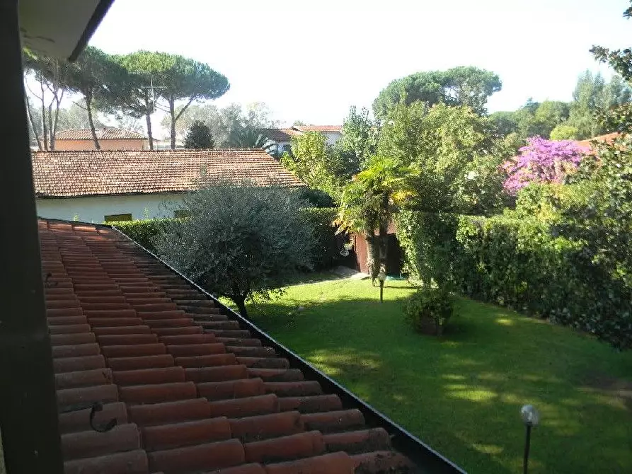 Immagine 11 di Villa in vendita  a Forte Dei Marmi