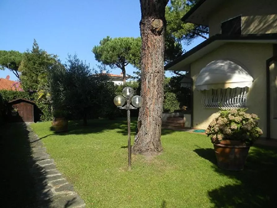 Immagine 14 di Villa in vendita  a Forte Dei Marmi