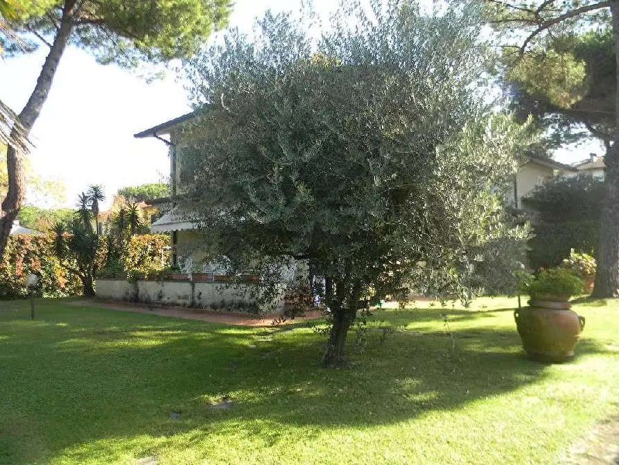 Immagine 31 di Villa in vendita  a Forte Dei Marmi
