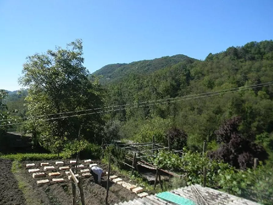 Immagine 43 di Appartamento in vendita  a Villafranca In Lunigiana