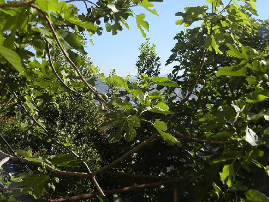 Immagine 40 di Appartamento in vendita  a Villafranca In Lunigiana