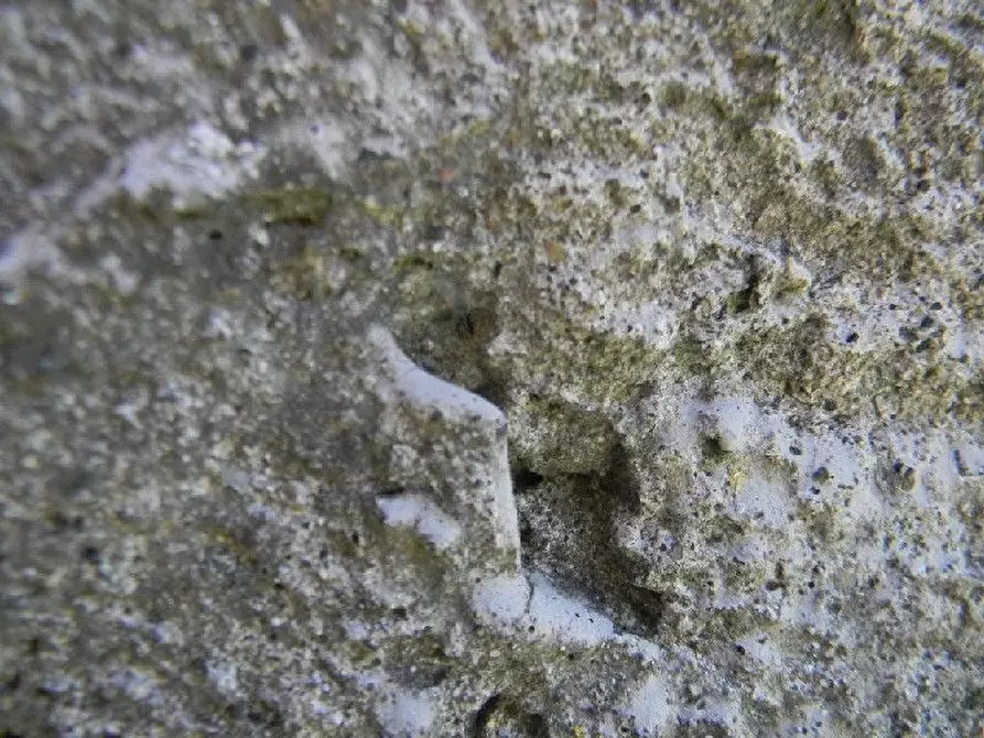 Immagine 24 di Appartamento in vendita  a Villafranca In Lunigiana