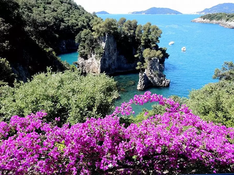 Immagine 60 di Villa in vendita  a Lerici
