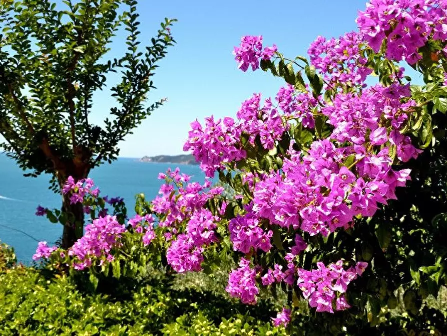 Immagine 21 di Villa in vendita  a Lerici