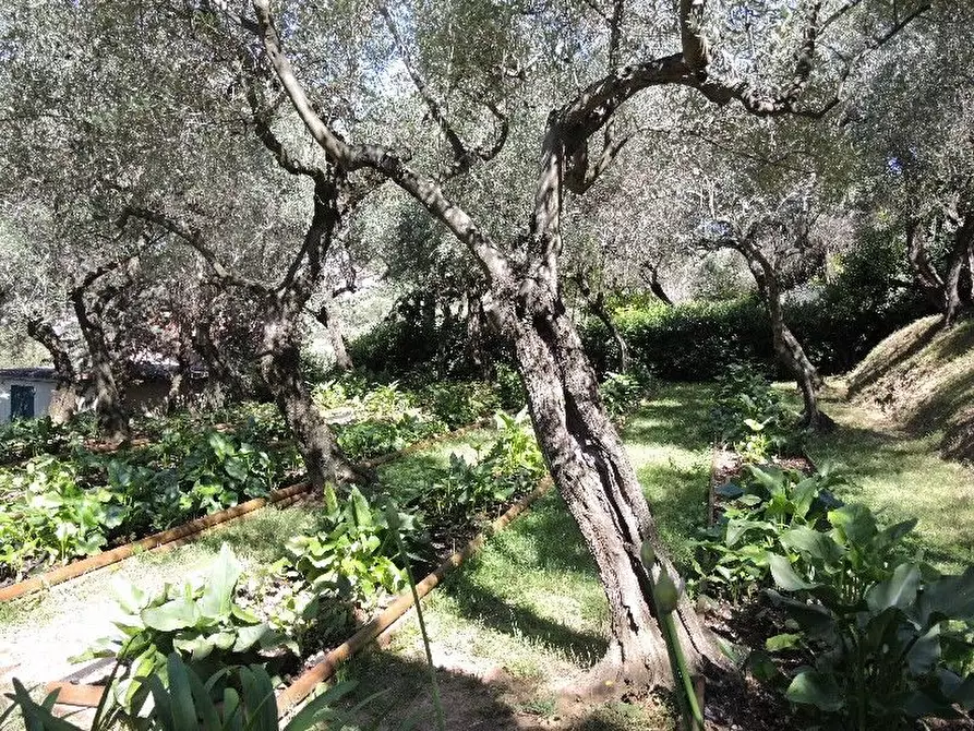 Immagine 31 di Villa in vendita  a Lerici