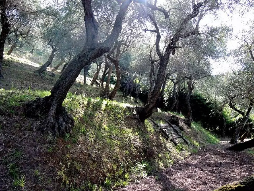 Immagine 9 di Villa in vendita  a Lerici