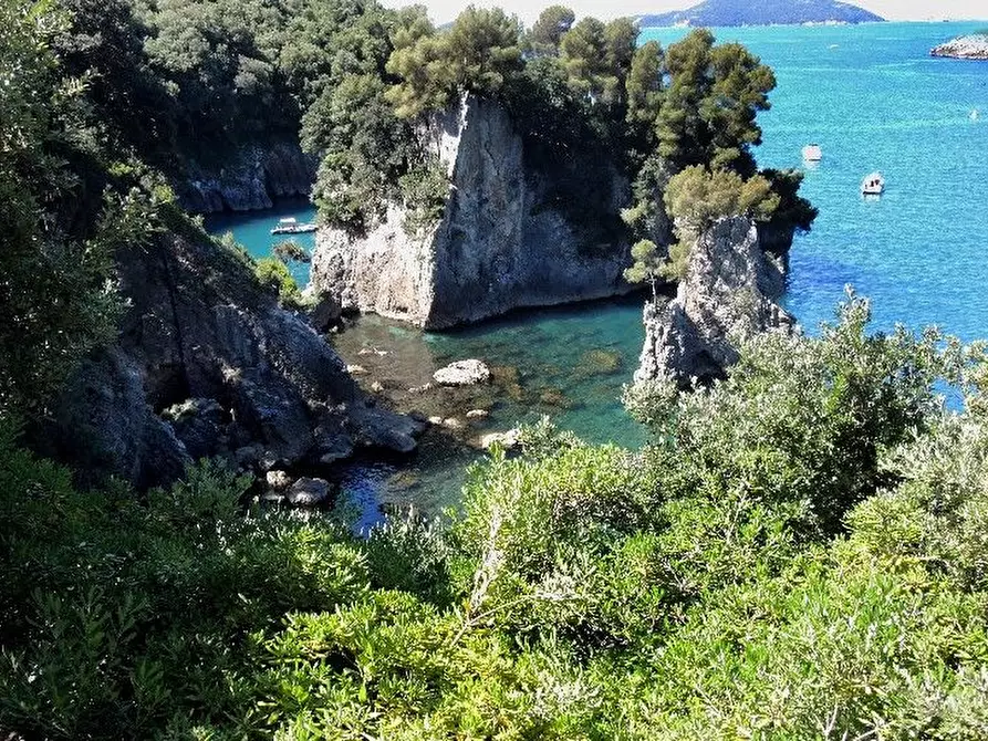 Immagine 30 di Villa in vendita  a Lerici