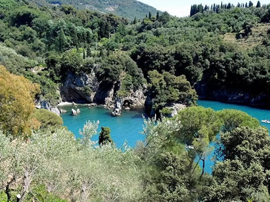 Immagine 68 di Villa in vendita  a Lerici