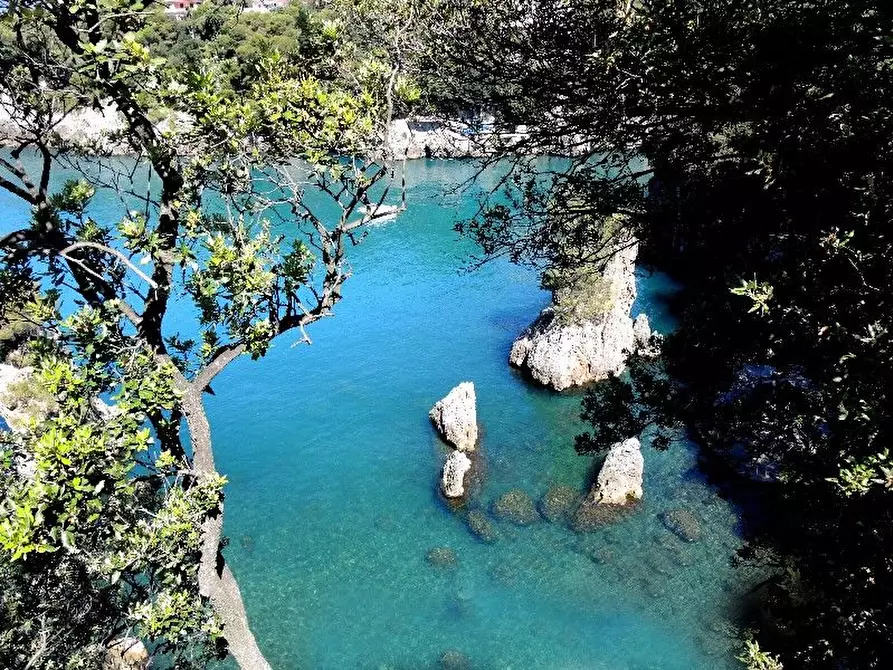 Immagine 46 di Villa in vendita  a Lerici