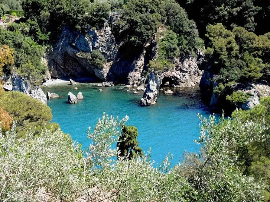 Immagine 27 di Villa in vendita  a Lerici