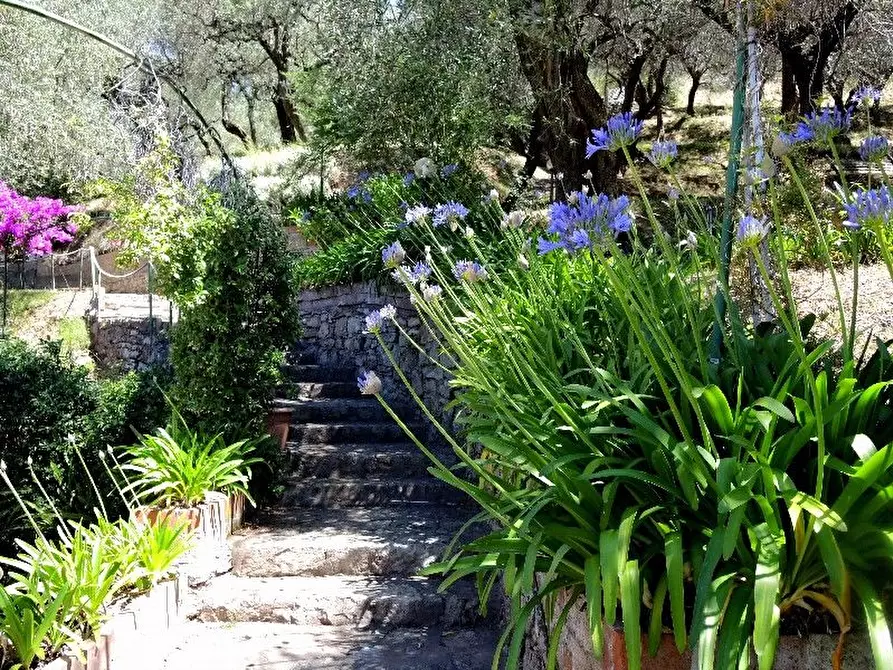 Immagine 82 di Villa in vendita  a Lerici
