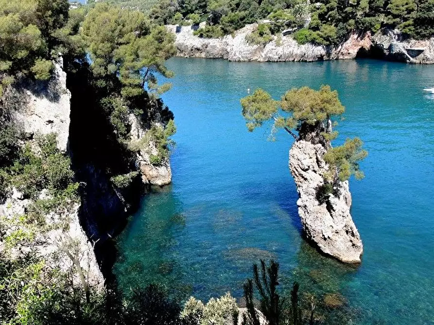 Immagine 69 di Villa in vendita  a Lerici