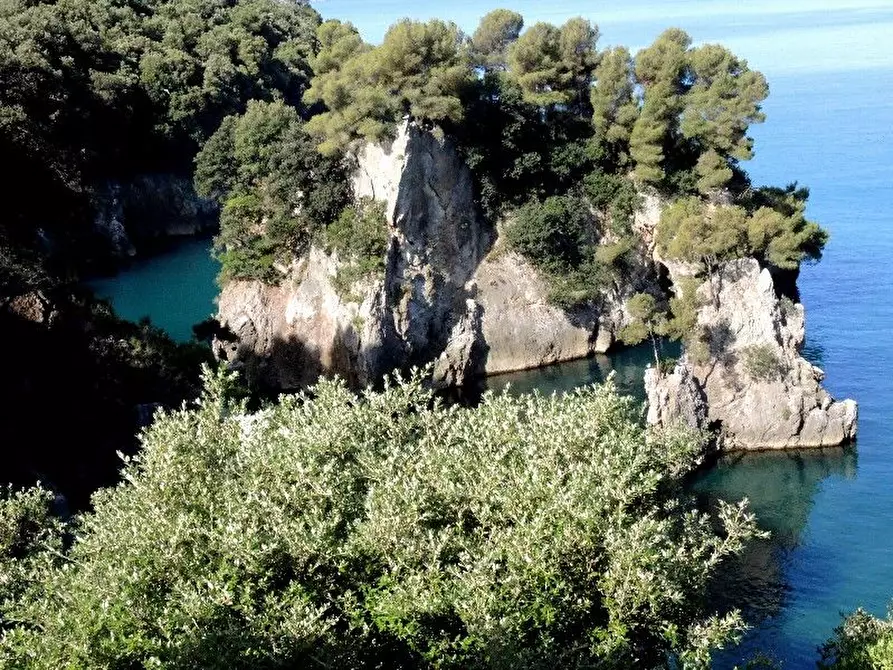 Immagine 61 di Villa in vendita  a Lerici