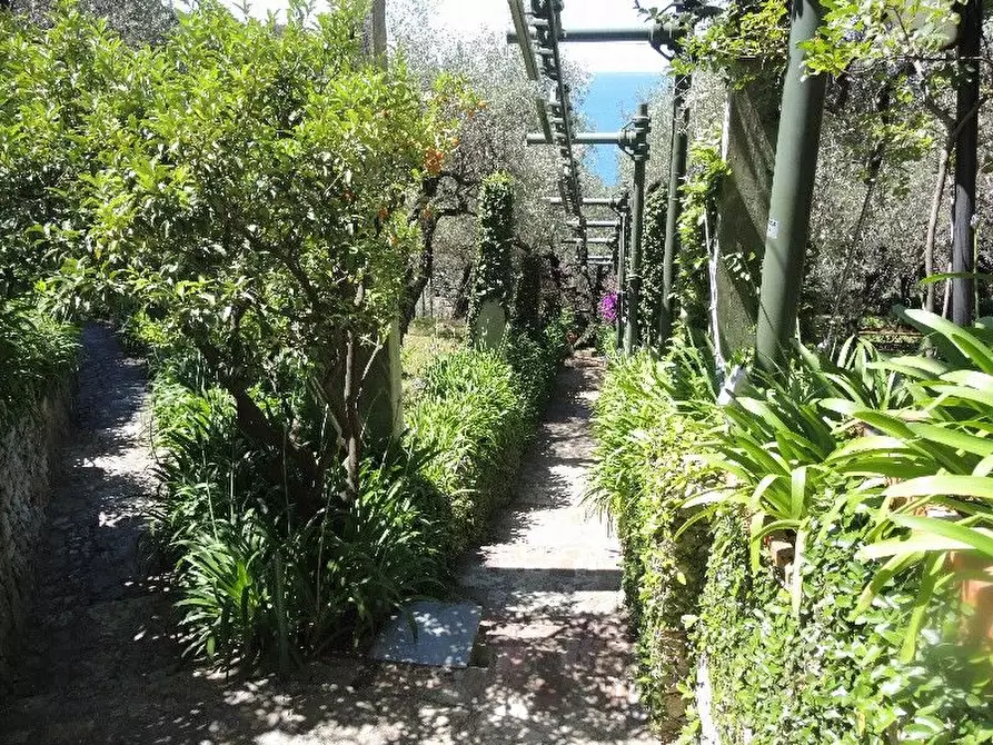 Immagine 87 di Villa in vendita  a Lerici