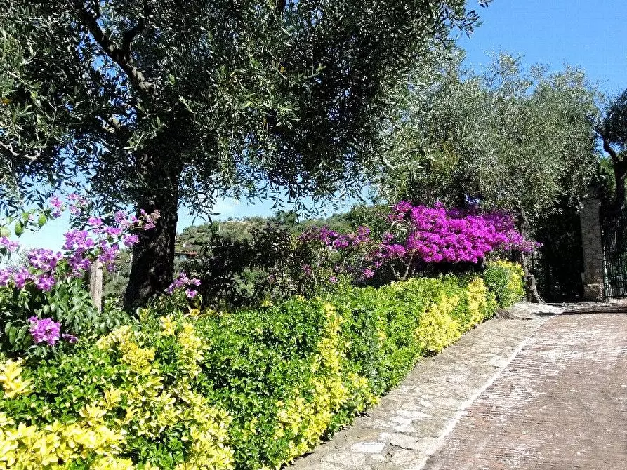Immagine 34 di Villa in vendita  a Lerici