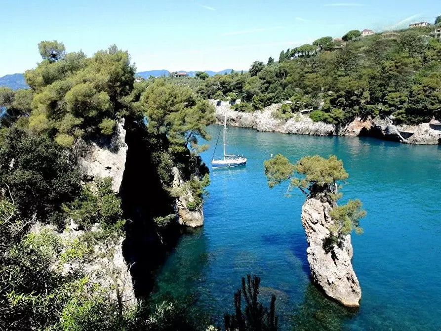 Immagine 29 di Villa in vendita  a Lerici