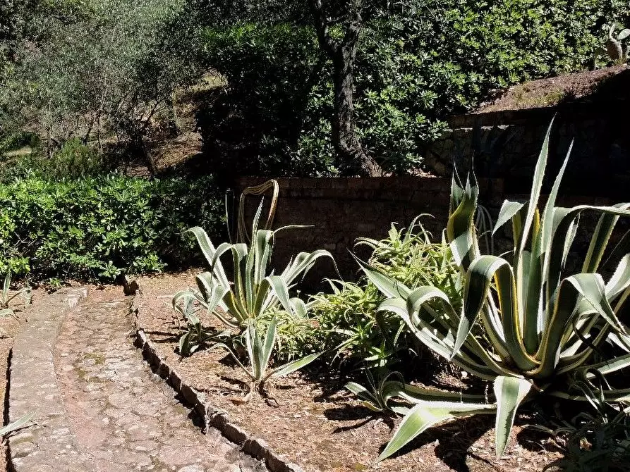 Immagine 84 di Villa in vendita  a Lerici