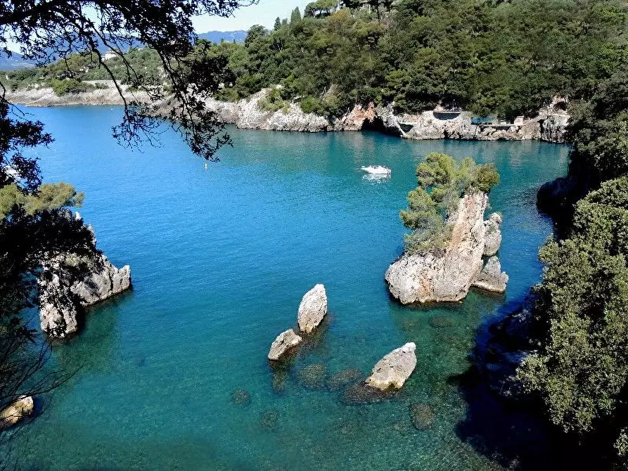 Immagine 67 di Villa in vendita  a Lerici