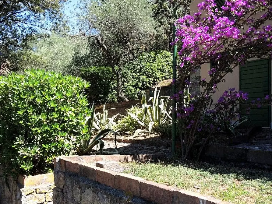 Immagine 13 di Villa in vendita  a Lerici