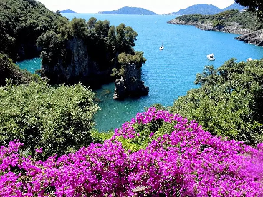 Immagine 57 di Villa in vendita  a Lerici