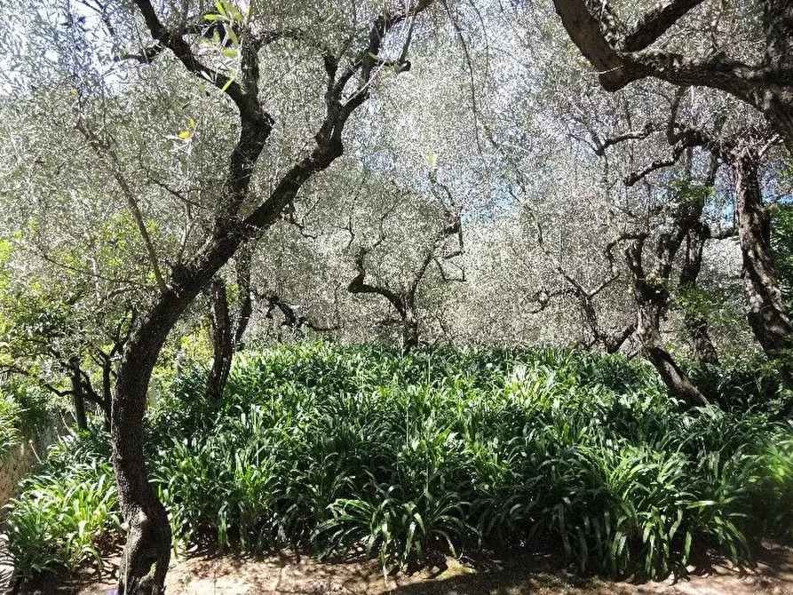 Immagine 18 di Villa in vendita  a Lerici