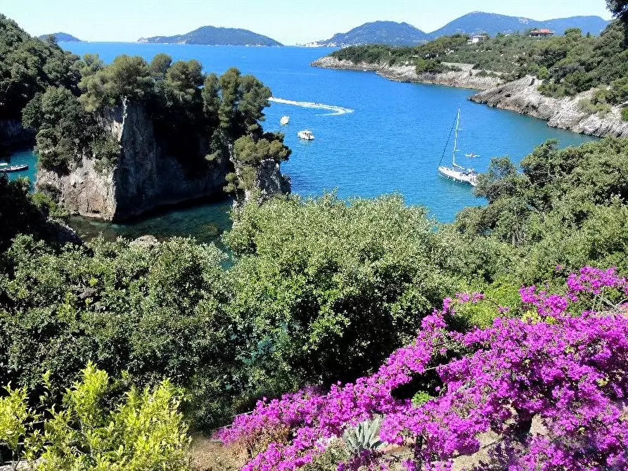 Immagine 66 di Villa in vendita  a Lerici
