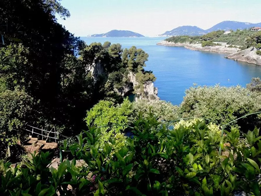 Immagine 42 di Villa in vendita  a Lerici