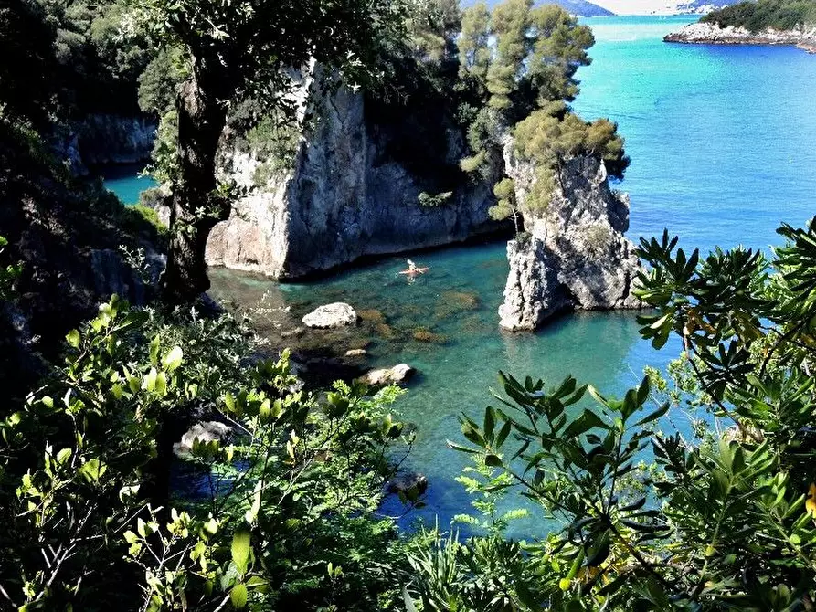 Immagine 5 di Villa in vendita  a Lerici