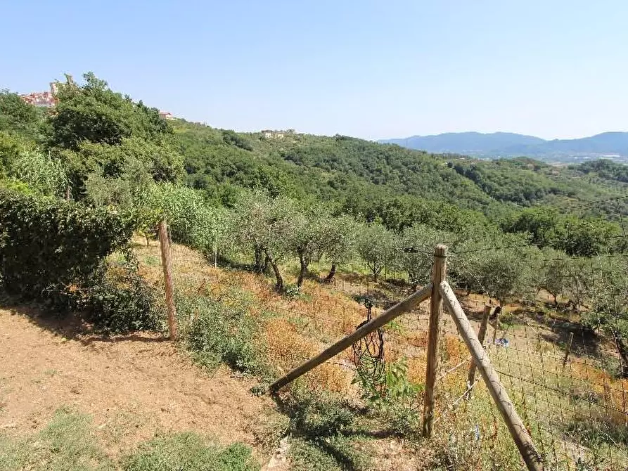 Immagine 7 di Casa indipendente in vendita  a Santo Stefano Di Magra