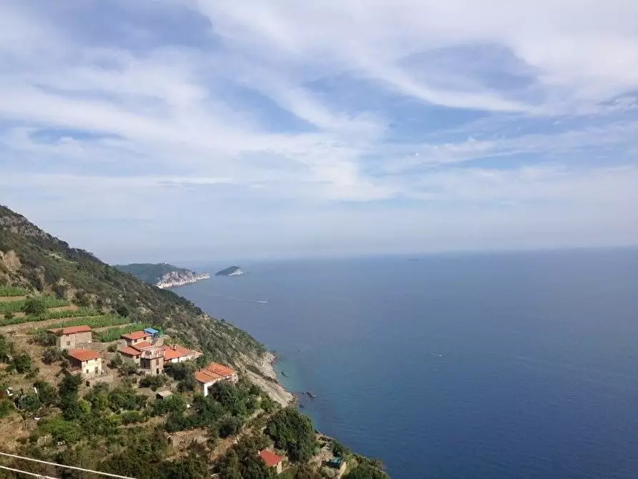 Immagine 9 di Rustico / casale in vendita  a Riomaggiore
