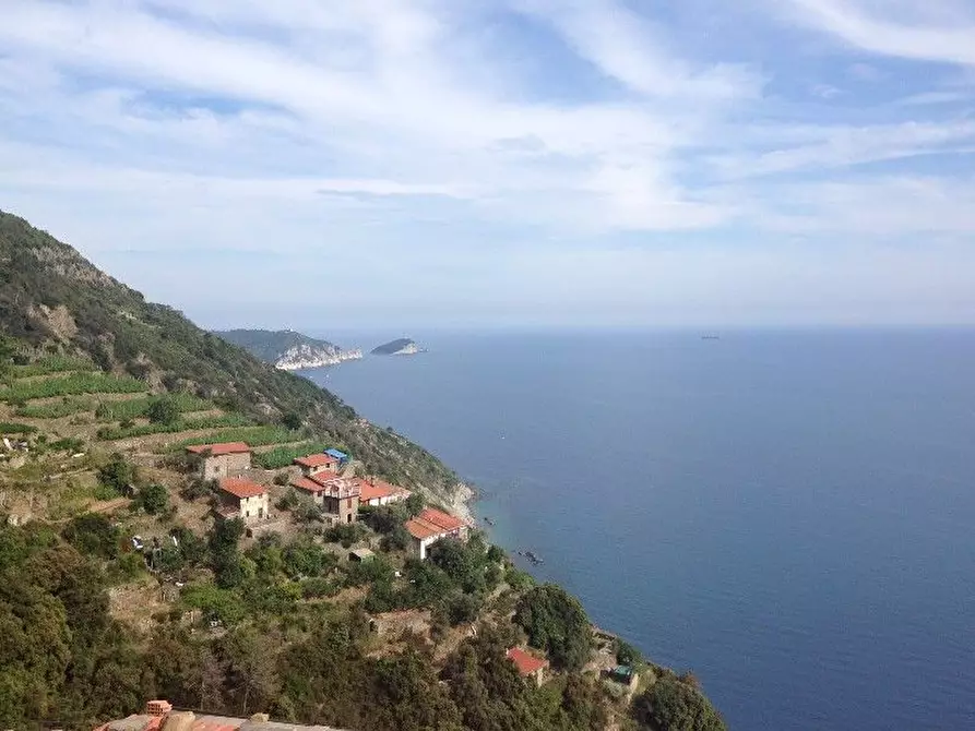 Immagine 10 di Rustico / casale in vendita  a Riomaggiore