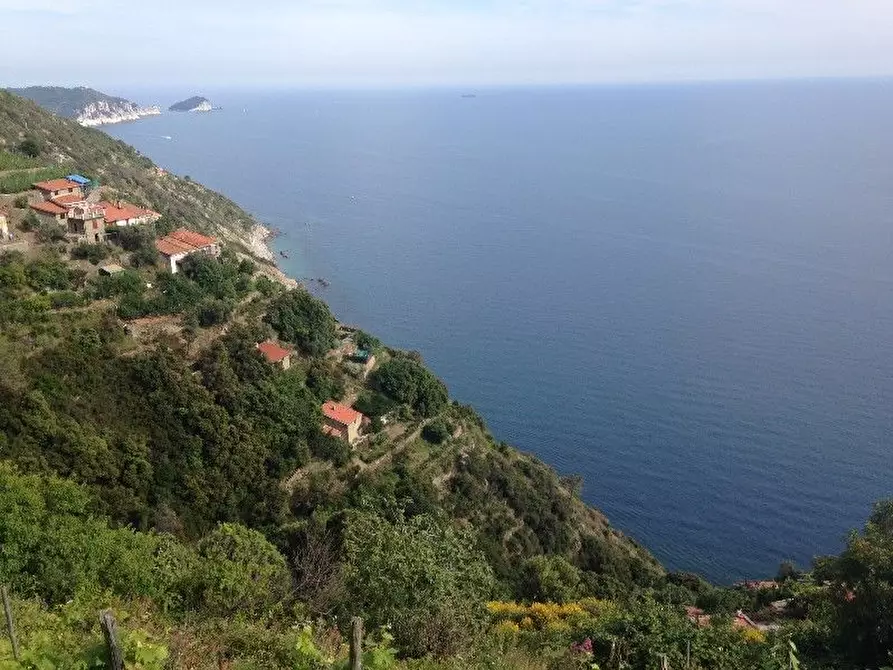 Immagine 3 di Rustico / casale in vendita  a Riomaggiore