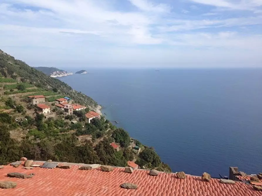Immagine 14 di Rustico / casale in vendita  a Riomaggiore