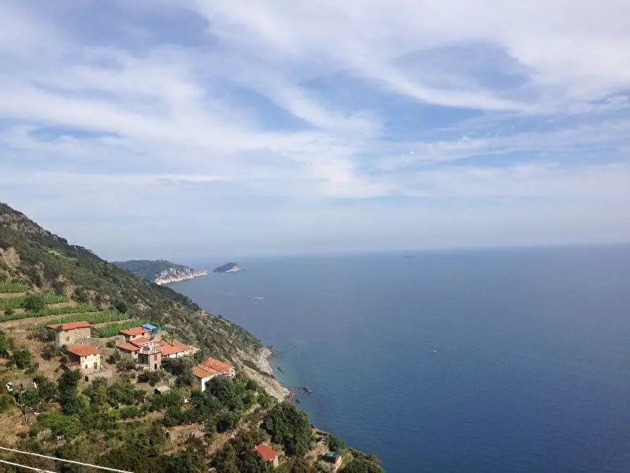 Immagine 7 di Rustico / casale in vendita  a Riomaggiore