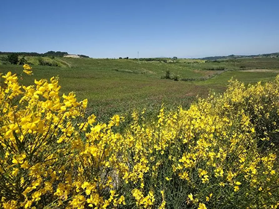 Immagine 16 di Casa indipendente in vendita  a Chianni