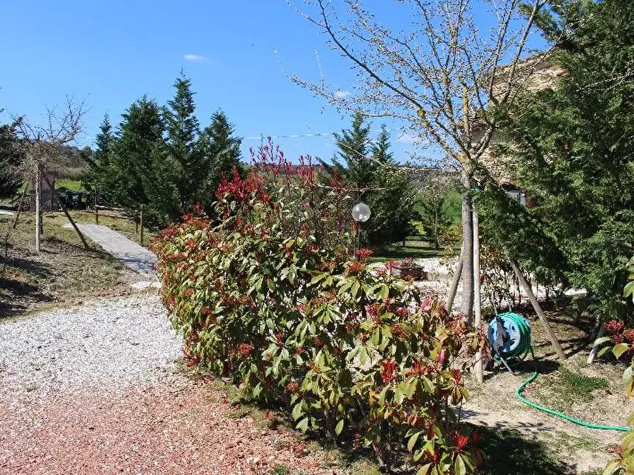 Immagine 80 di Casa indipendente in vendita  a Chianni