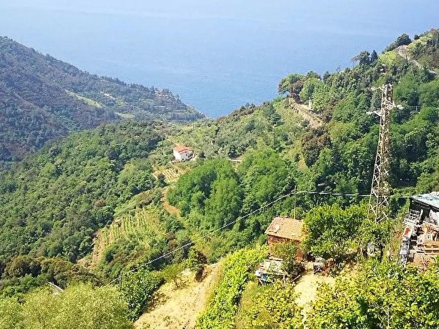 Immagine 7 di Rustico / casale in vendita  a Vernazza