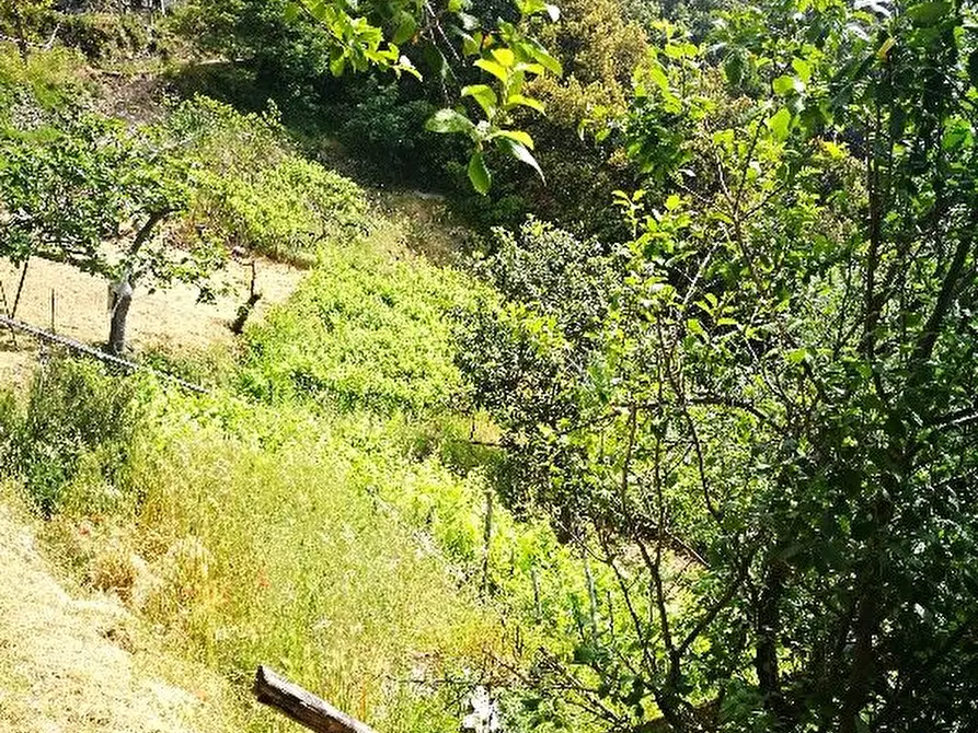 Immagine 15 di Rustico / casale in vendita  a Vernazza