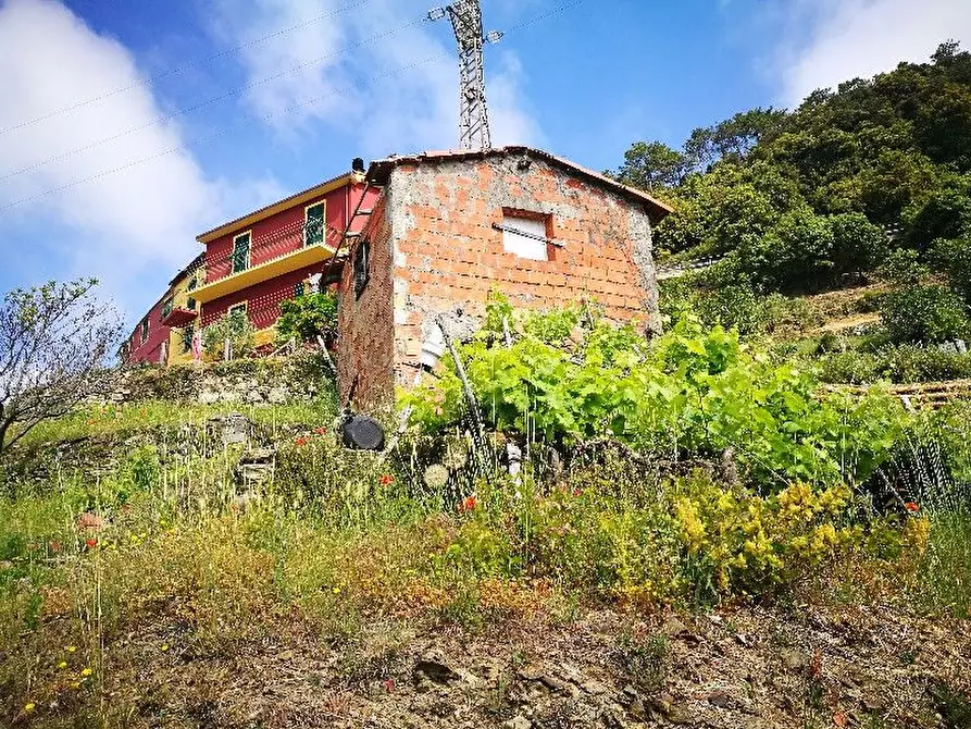 Immagine 16 di Rustico / casale in vendita  a Vernazza
