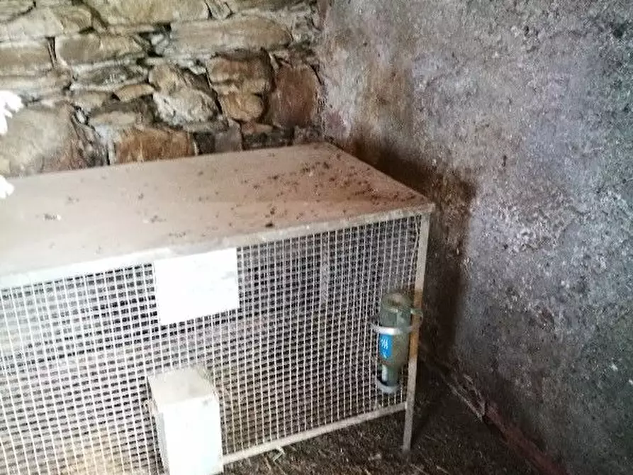 Immagine 10 di Rustico / casale in vendita  a Vernazza