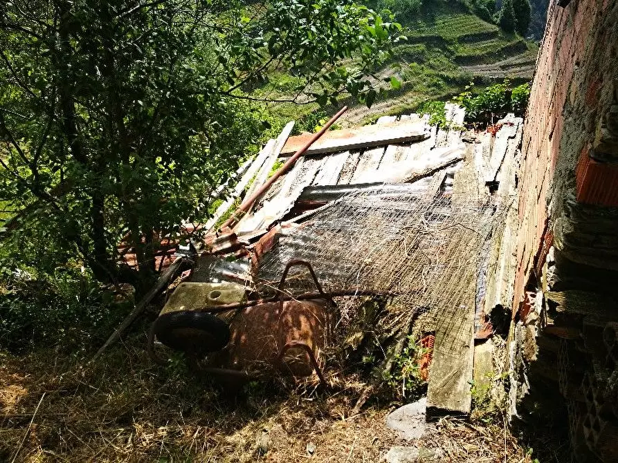 Immagine 5 di Rustico / casale in vendita  a Vernazza