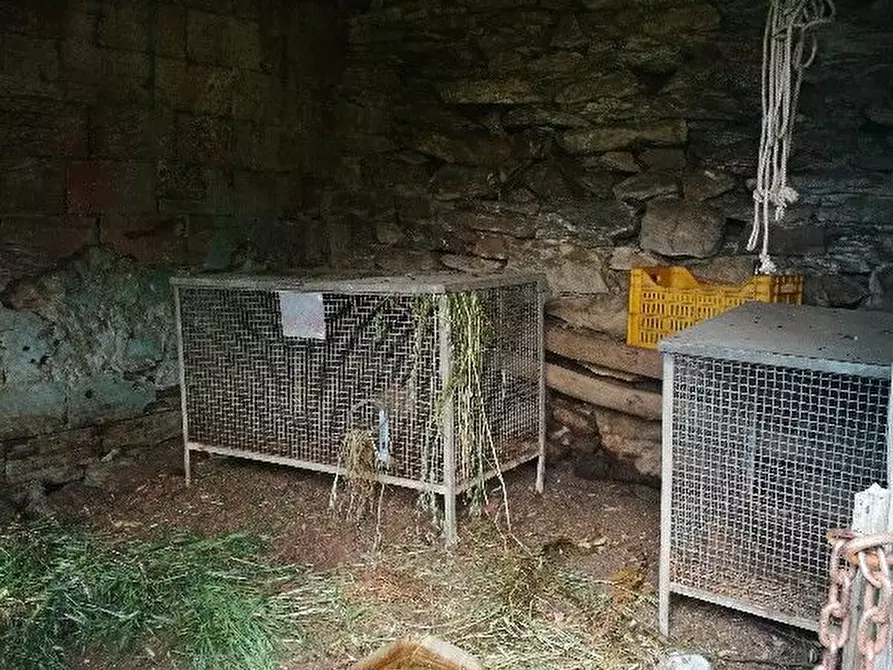 Immagine 17 di Rustico / casale in vendita  a Vernazza