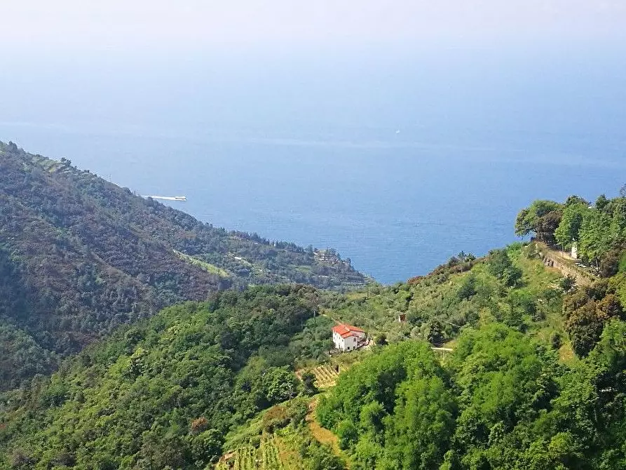 Immagine 14 di Rustico / casale in vendita  a Vernazza