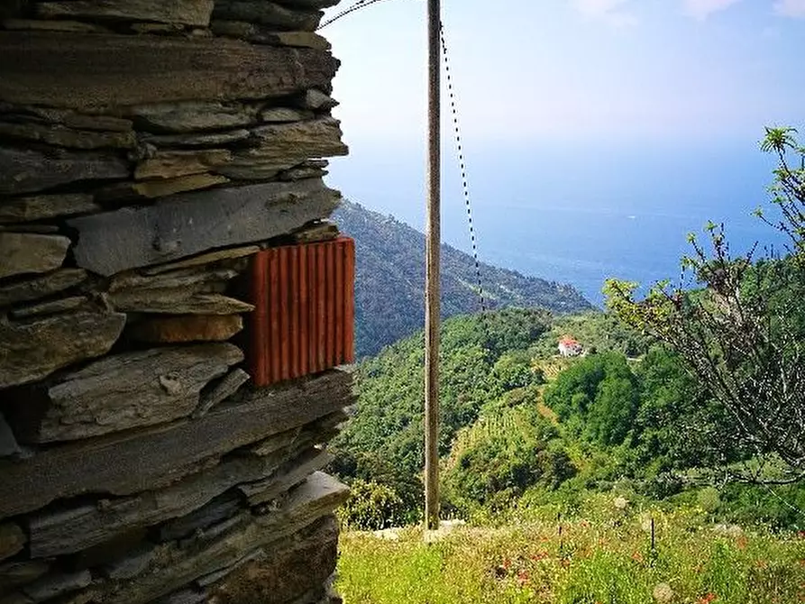 Immagine 8 di Rustico / casale in vendita  a Vernazza