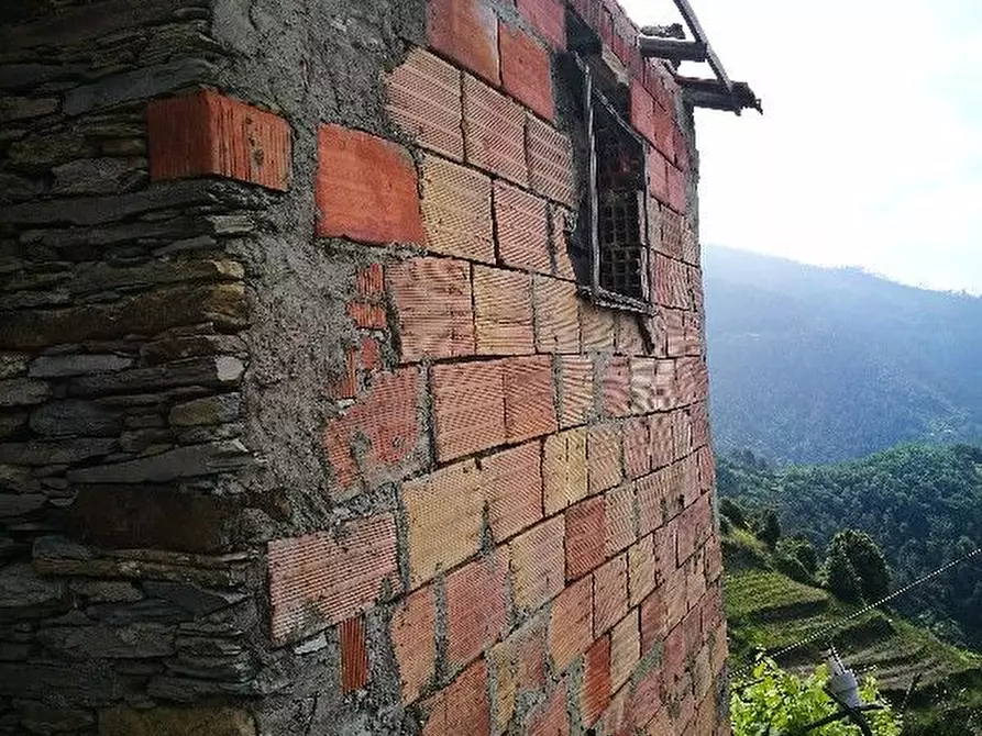 Immagine 11 di Rustico / casale in vendita  a Vernazza
